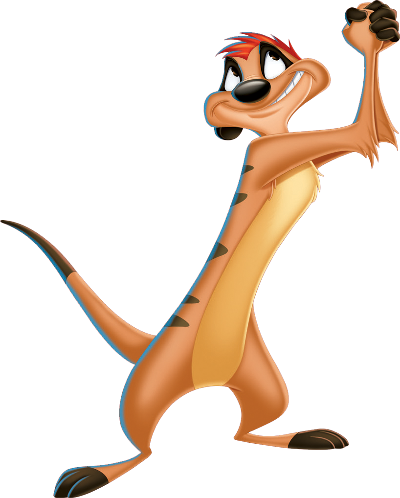 Timon